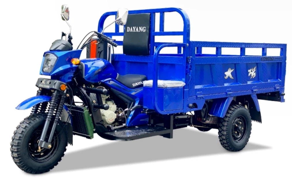 DY-200ZH Motocicleta de tres ruedas