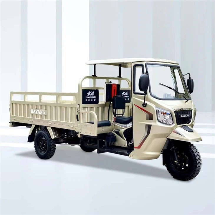 DY-SD1 DAYANG Brand Motorcycle Sells Well At Peru With 350CC Powerful Engine Cargo Tricycle