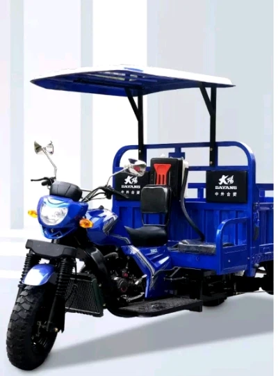 DY200ZH-10 Three Wheeled Motorcycle