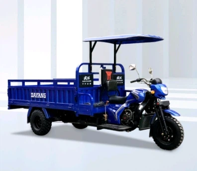 DY200ZH-10 Three Wheeled Motorcycle