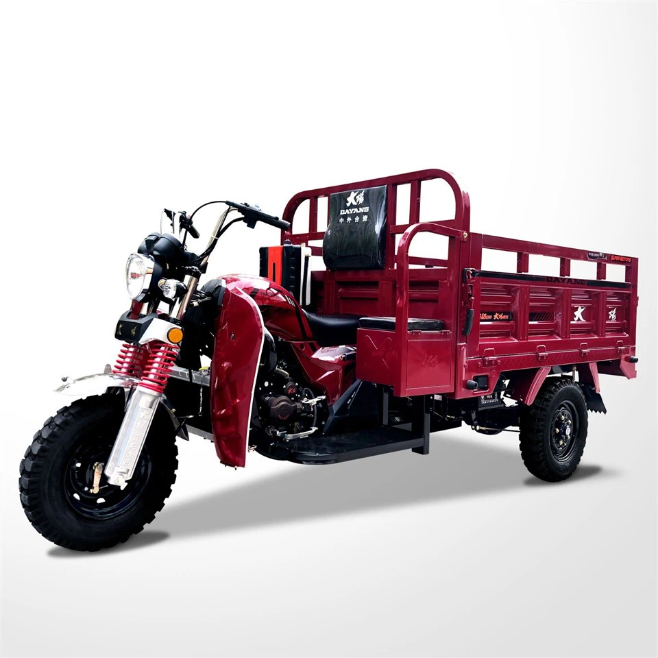Gas Moto Loader Passenger Tricycle Three Wheel