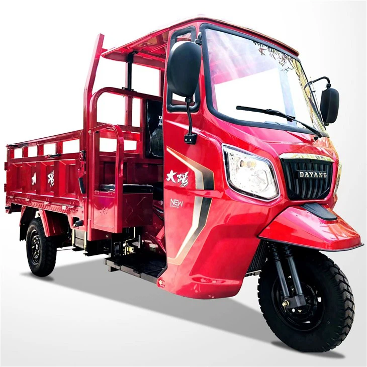 High Quality 250cc 3 Wheeler Motorcycle Auto Rickshaw