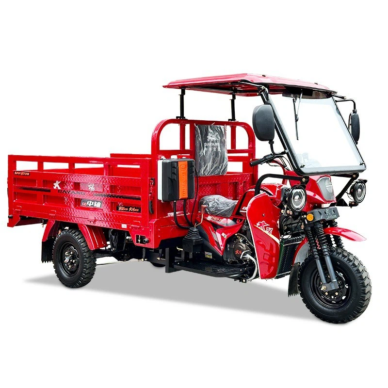 Popular Cargo Tricycle Passenger Threewheel Motorcycle Parts