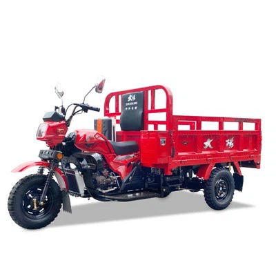 Nueva motocicleta de tres ruedas de carga de 200 cc