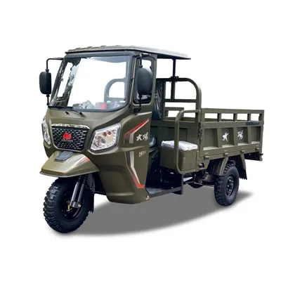 2025 Nueva motocicleta triciclo