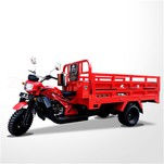 250cc 300cc 350cc Vehículo de tres ruedas personalizado de fábrica