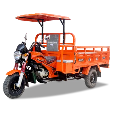 Motocicleta de tres ruedas con carga de carga de 250 cc