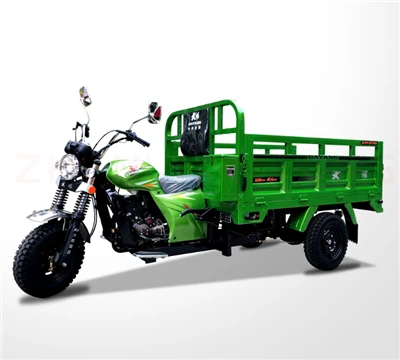 Dayang popular vendiendo buena calidad Tuk Tuk de 3 ruedas