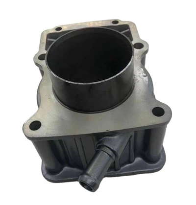 DAYANG Piezas del motor refrigeradas por agua de la motocicleta de tres ruedas Pieza del bloque de cilindros