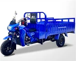 Modelos de triciclo de carga populares y más vendidos DY-G2 con motor de 300 cc