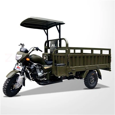 Modelos vendedores calientes del triciclo del cargo de África DY-H6 con el motor potente de 250cc