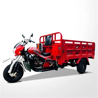 Triciclo de transporte de servicio pesado