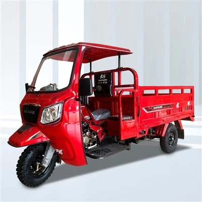 Triciclos motorizados de 250 cc con gran espacio, cabina Tuktuk barata y de buena calidad