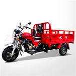 Nueva motocicleta de tres ruedas con motor de gasolina de 3 ruedas