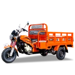 Triciclo tipo placa plana de cuerpo abierto