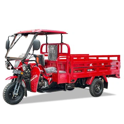 Triciclo de carga de gasolina de 250 cc